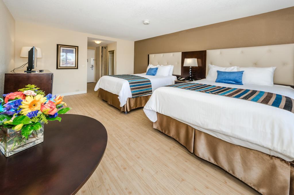Dreamview Beachfront Hotel & Resort Clearwater Beach Ngoại thất bức ảnh